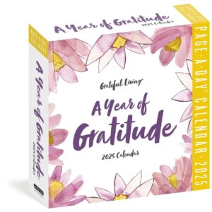 A Year of Gratitude Page-A-Day Calendar