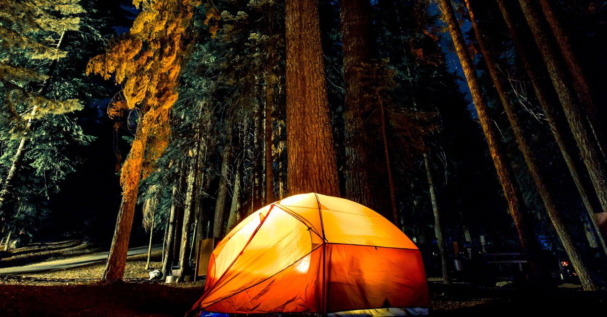 A yellow and orange tent in a forest of tall trees. Photo taken at night