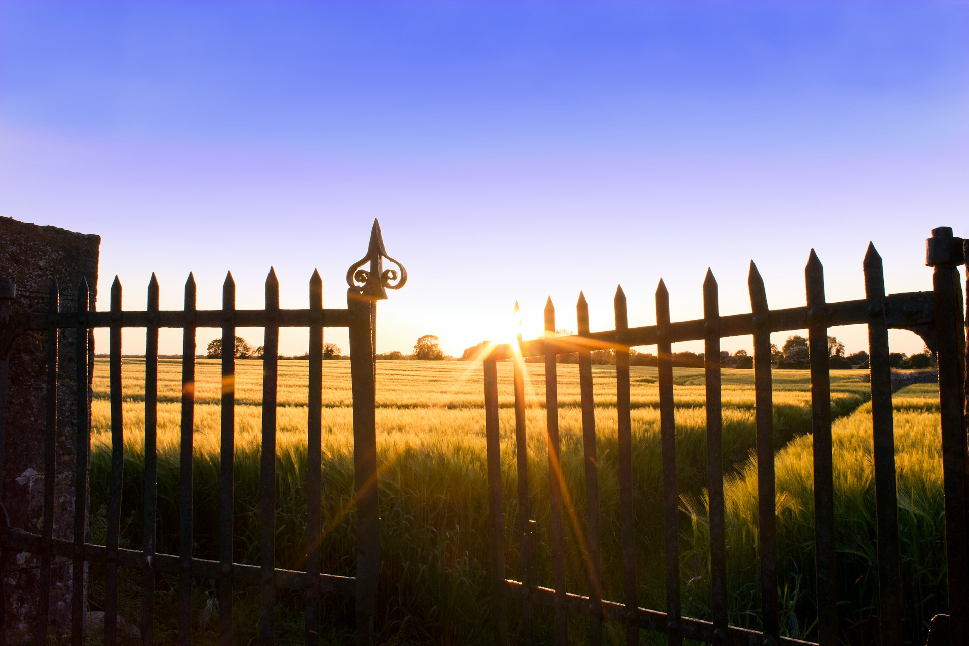 Partially open iron gate leading to an open grassy field at sunset