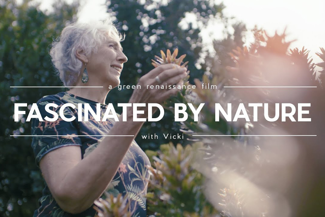 A woman holding a plant in her hand and looking off into the distance with text that reads "Fascinated by Nature"