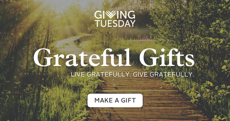 Grateful Gifts - Live Gratefully, Give Gratefully. background image of a curving wooden pathway