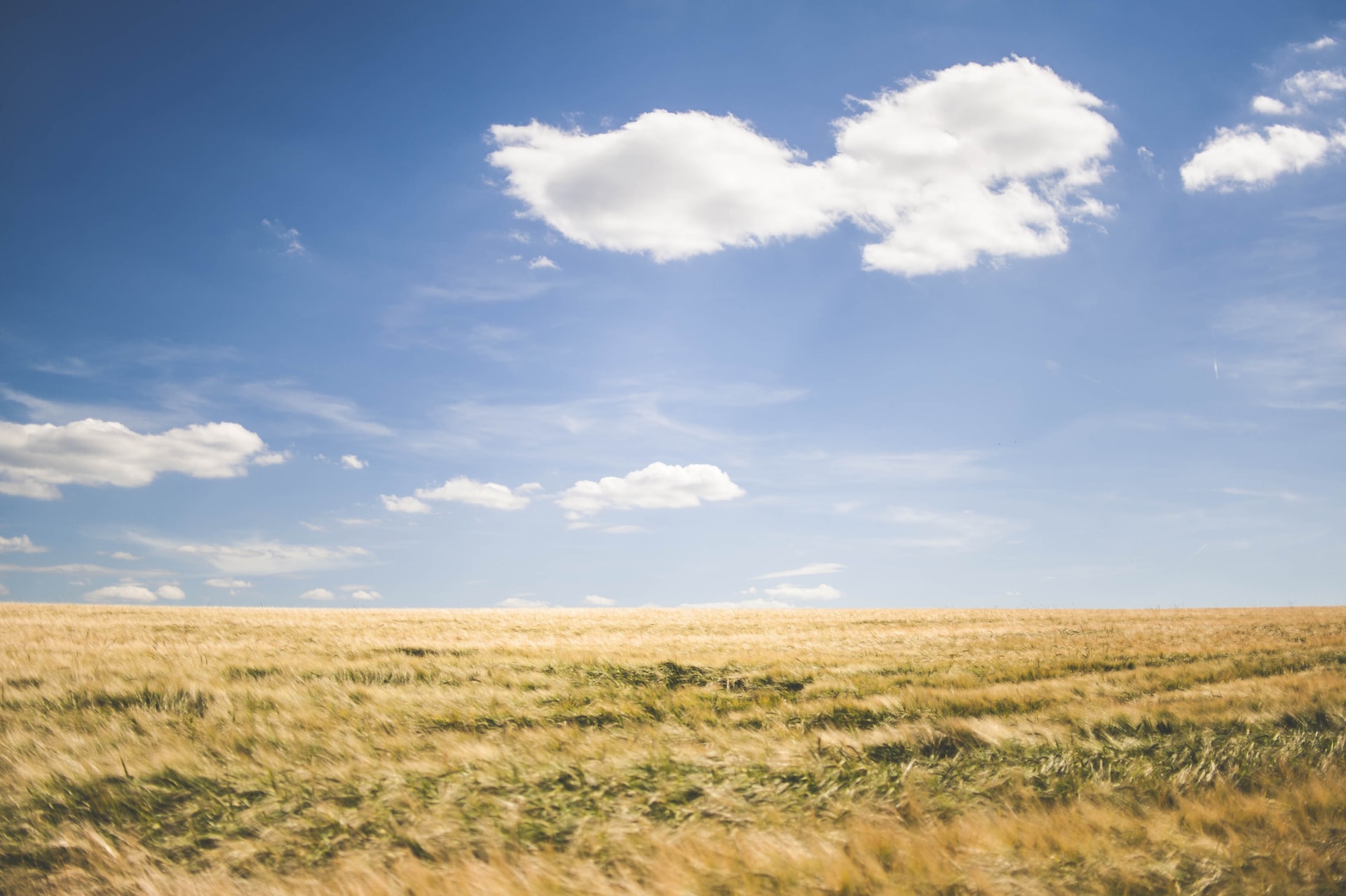 An open field with blue sky above