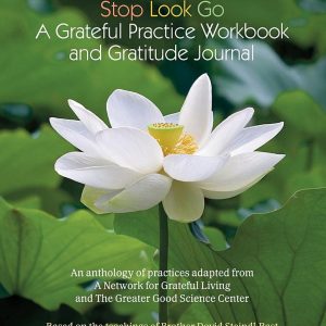 Book cover for Stop Look Go Workbook features white lotus flower.