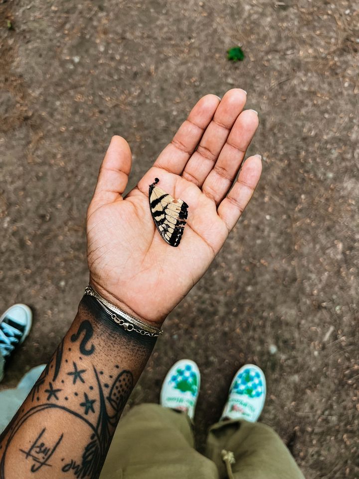 Woman's hand holding a shedded butterfly wing in her palm