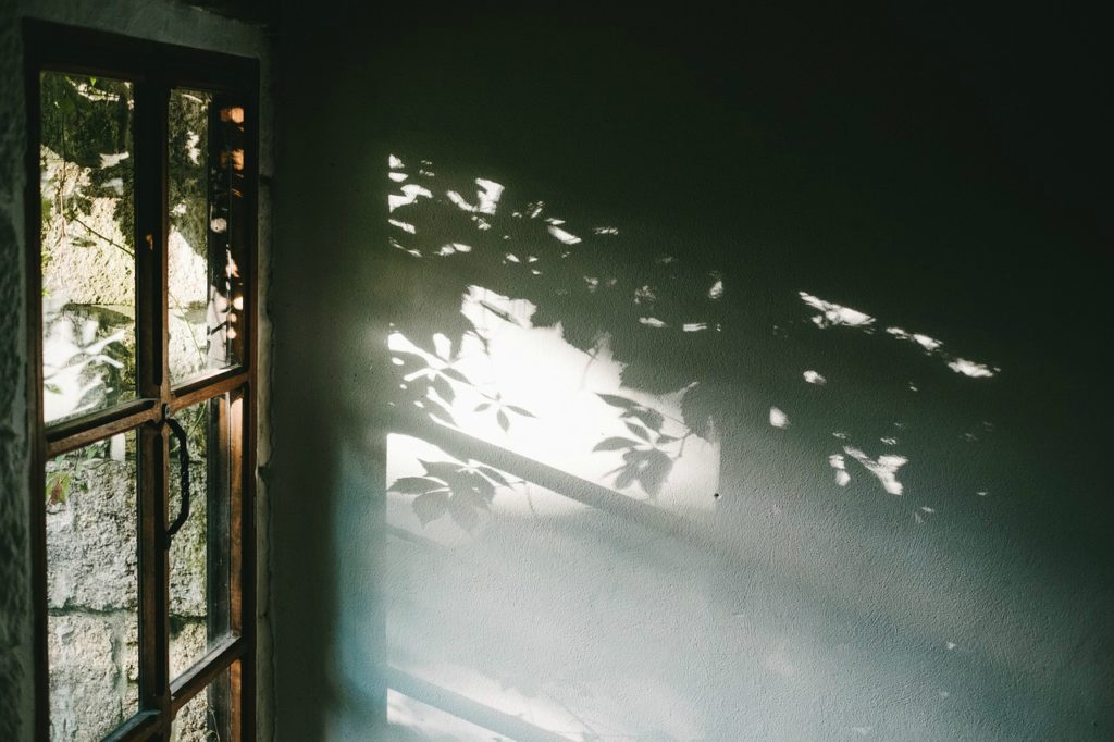 glass door with shadows coming through on the wall of the house.
