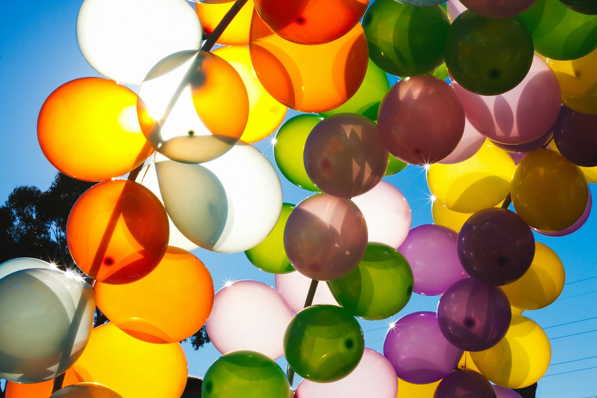 Colorful balloons against a blue sky