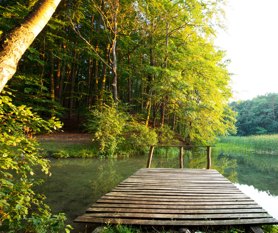 a wooden dock juts out over a calm lake surrounded by green trees