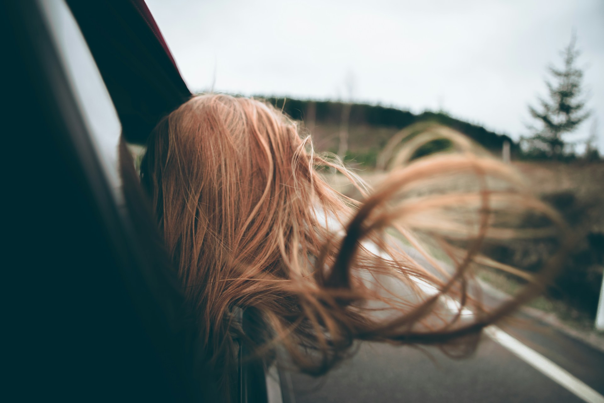 A woman with her head out of a car window and her hair floating in the wind