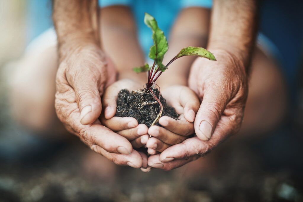 An adult holding a child's hands holding a sprouting plant