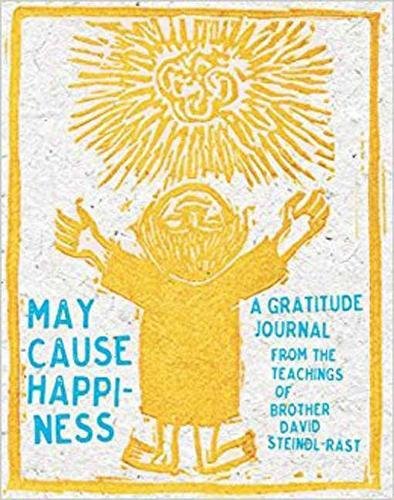cover of May Cause Happiness - child reaching up to the sun by Helen Siegl
