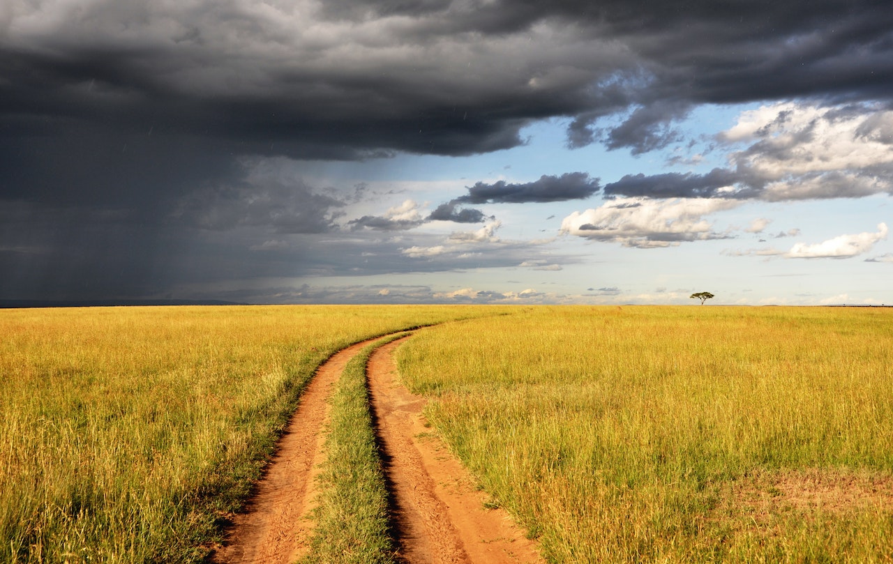 A path stretches in to the distance where a storm and clear sky await.