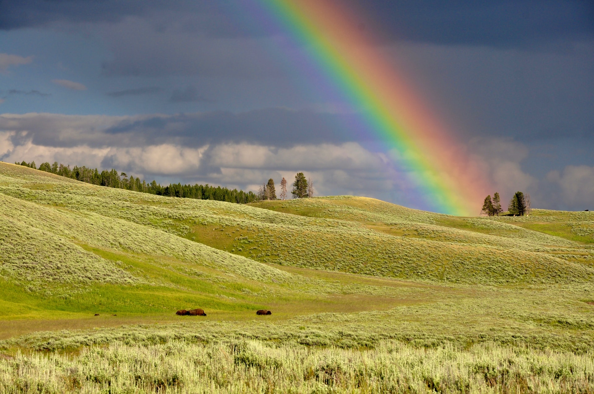 a rainbow band above a green hillside