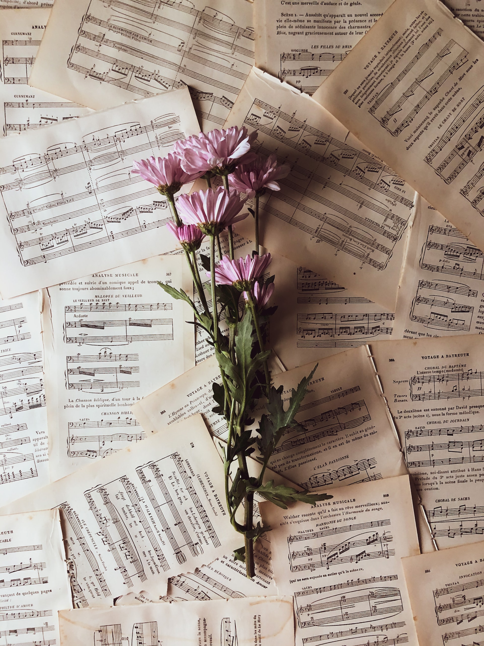 a small bundle of purple flowers set on top of sheets of music