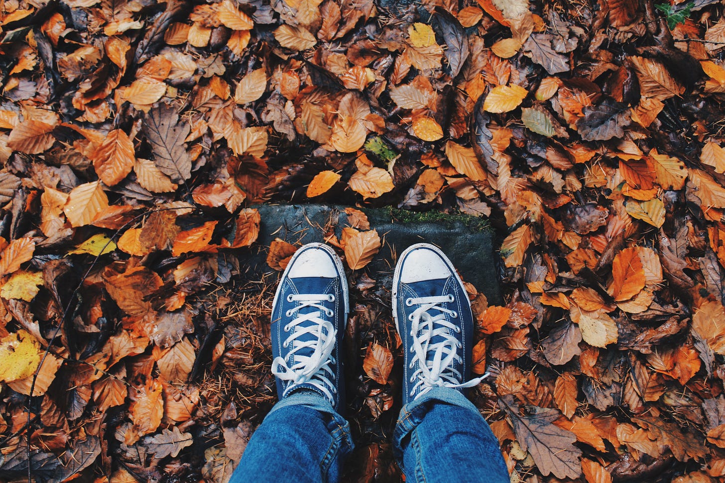 Overhead view of person wearing Converse sneakers standing on a stone surrounded by fall leaves on the ground