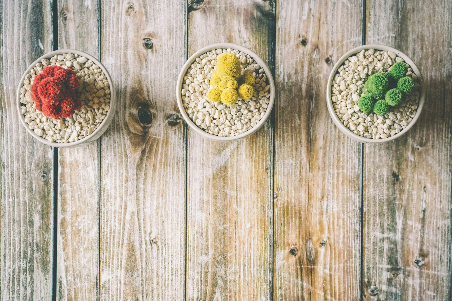 three small plants on a wooden tabletop