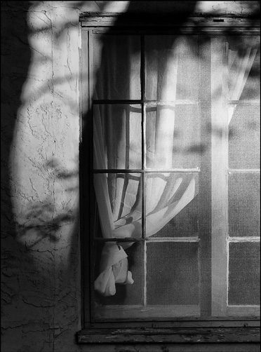 shadow light window