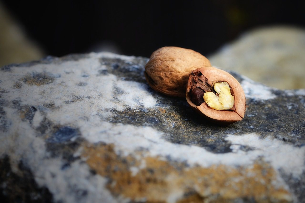 walnut, heart