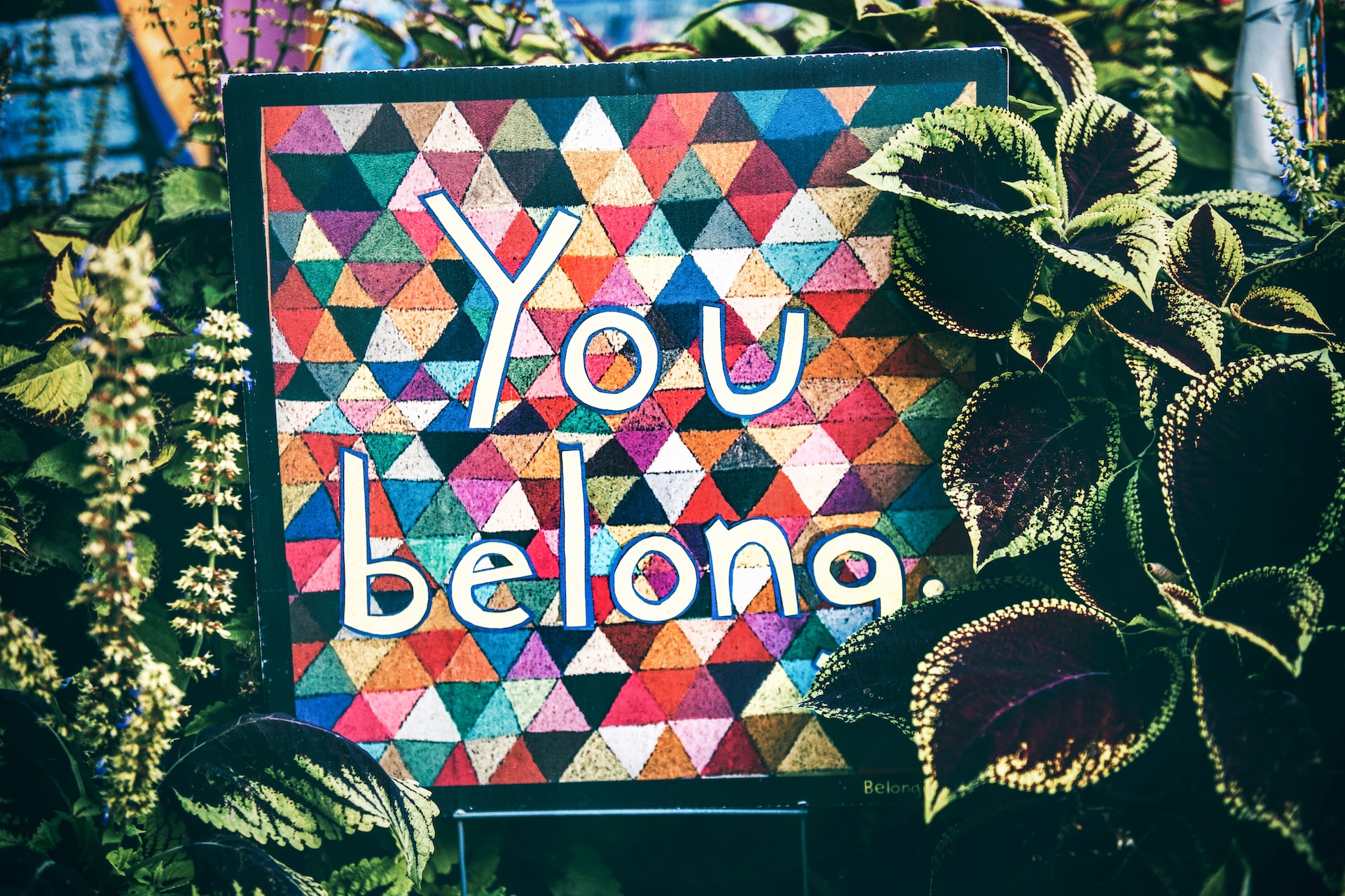 A cardboard sign painted with colorful triangles and text that reads "You Belong." The sign is nestled amongst greenery.